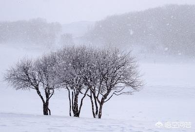 《诗经》中的“昔我往矣，杨柳依依，今我来思，雨雪霏霏”有什么深意？
