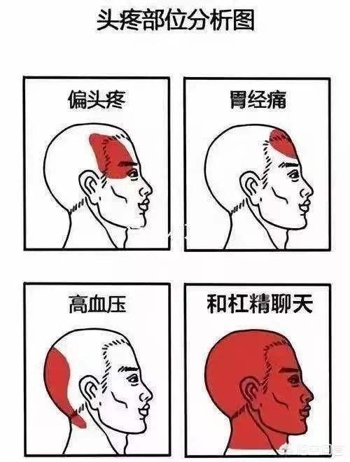 伏尔加河的鱼的个人频道:你见过或者认识的最杠精的人是什么样子的？