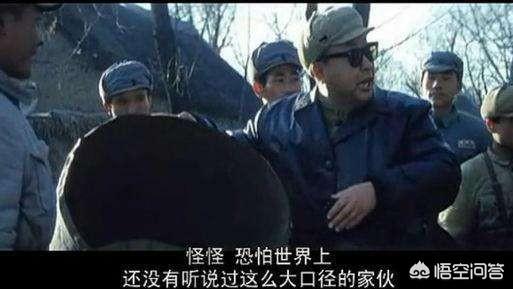 姚守岗军犬处理结果军方不告吗:世界战争史上有哪些令人窒息的弱智操作？