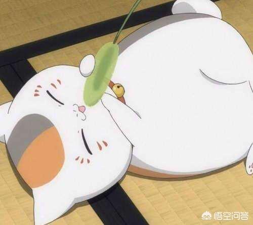 皮卡丘的恋爱:动漫中有哪些可爱的萌宠？