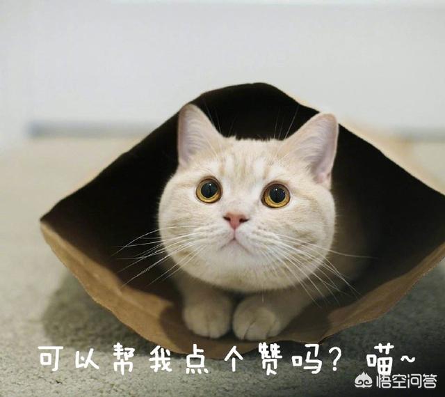 深圳正顺广场灵异事件:你有没有被自己吓到过的经历？