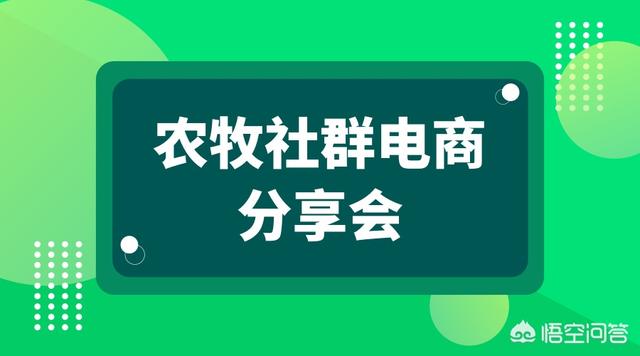 养鸡户如何通过网络来销售土鸡