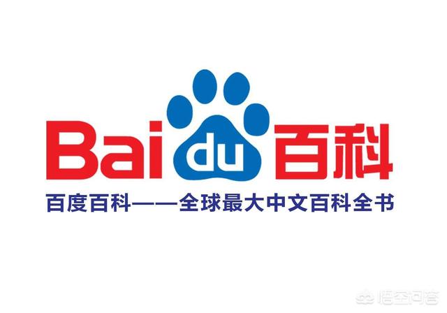 为什么国内其他搜索引擎厂商无法撼动百度的地位？