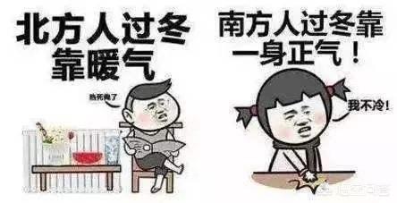 兔八哥东北方言版拳击:三个罗纳尔多历史地位谁最高？