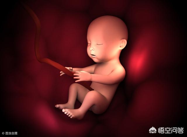 怀孕2周胚胎大小图片图片