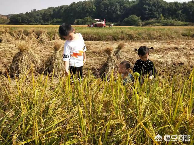 大喊大叫生孩子视频:生孩子大喊大叫的视频 预产期到了，怕痛不想生怎么办？