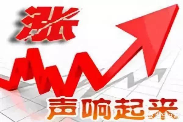 微型猪养殖:2019生猪前景如何？小散户和家庭养殖场该何去何从？