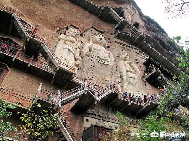 甘肃 猫坚强:短期出门，怎样安置猫猫？ 猫坚强视频