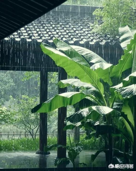 如何用诗词回答问题？