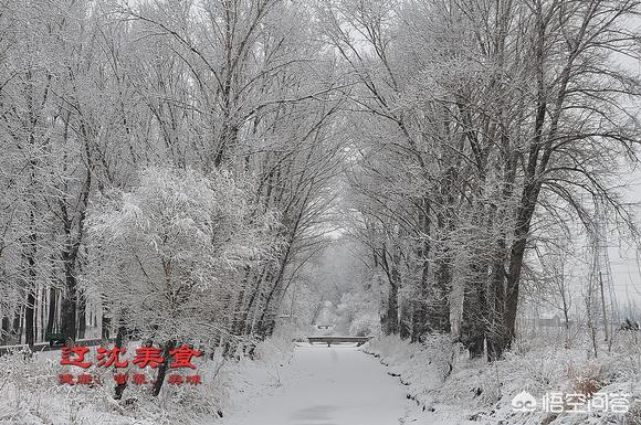 昆莱小雪人 刷小艺:老人一个人在家，是如何度过每一天的？他们孤独吗？