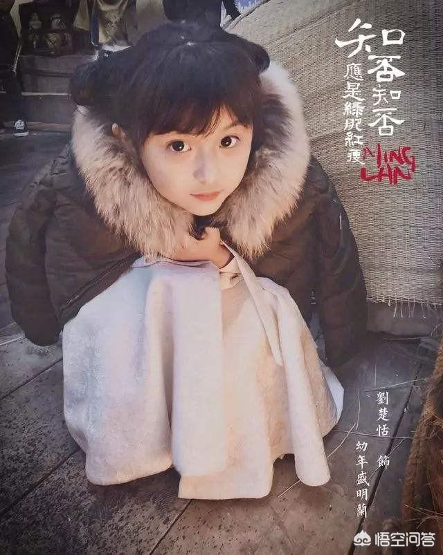 刘楚恬家庭背景:你觉得赵丽颖和冯绍峰的《知否》好看吗怎么评价这部剧