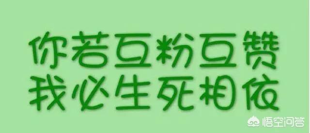 雅思刘薇创业，在三四线乡镇创业办理一个辅导班市场前景好吗