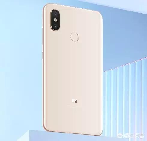 贵州斗狗大赛视频直播:你看到的最奇葩的新闻是什么？