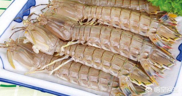 皮皮虾的正确打开方式有哪些，新鲜的皮皮虾买回来该如何烹制