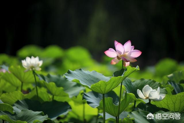 孩子最好的三个表现：孝顺孩子的三个表现