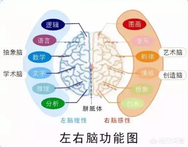 应采儿晒小儿子照:儿童超强记忆力是怎样练成的