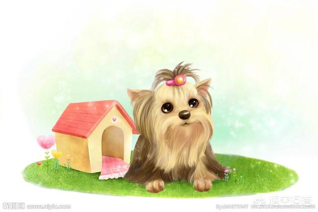 在沙发上休息的波尔多犬图片:在家里为什么狗狗总是要主人抱着它？