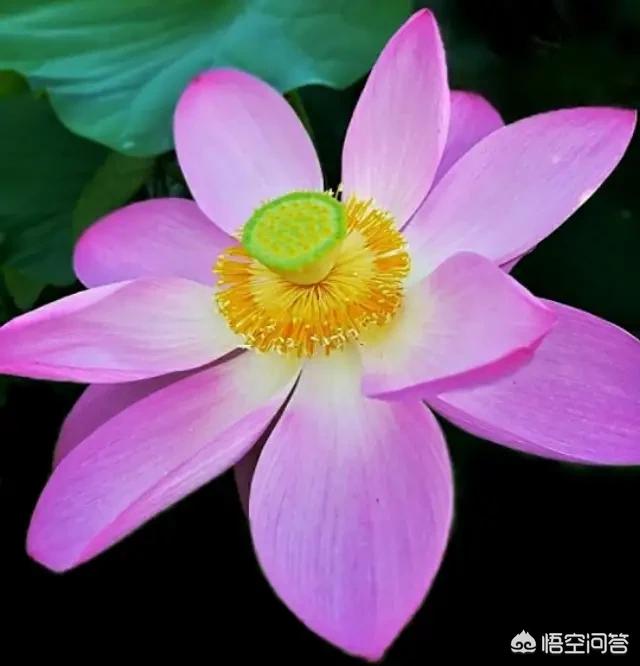 男女之间的情感该如何表达？