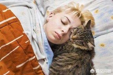 为什么晚上睡觉时猫咪总喜欢靠近自己的头，而且咕噜声还很大？插图29