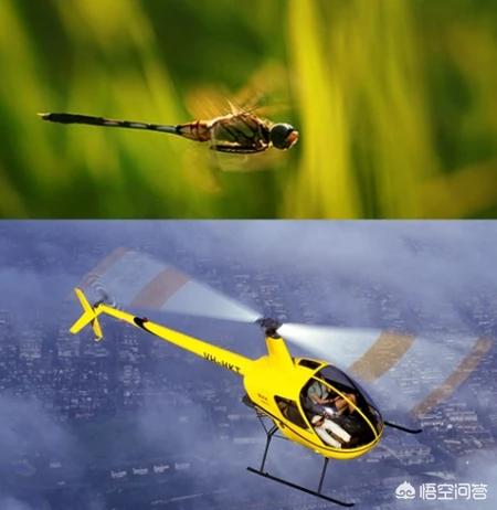 什么是仿生学:仿生促进了人类的进步是真的吗？你怎么看？