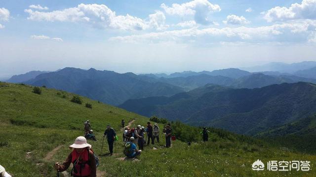 蓝脚鲣鸟一家原图:如果你去一个地方旅游，最想了解的是当地什么？