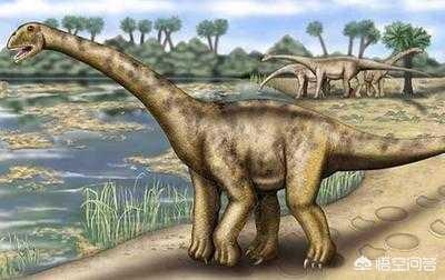 恐龙都比如今的大象的个头还要大,特别是蜥脚目中的梁龙类和泰坦龙类