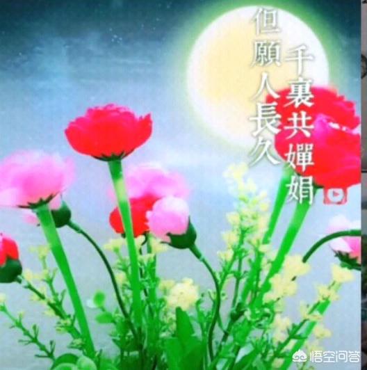 你有没有写过情诗？
