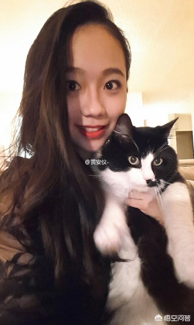 黄安仪事件:黄安被网友道德绑架捐款的事情你怎么看