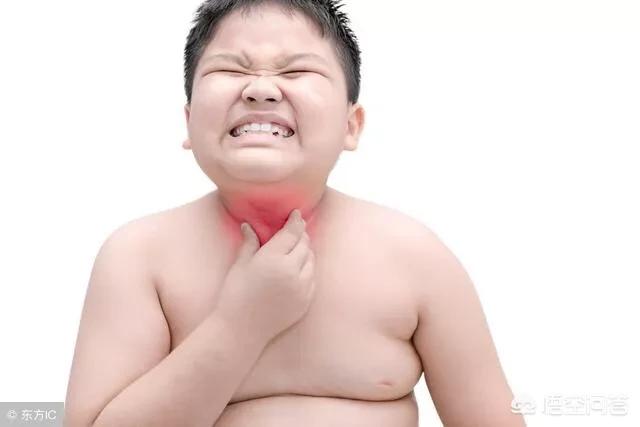 乳腺发育不良:乳腺发育不良的表现图片 初产母猪乳腺发育不好怎么办？