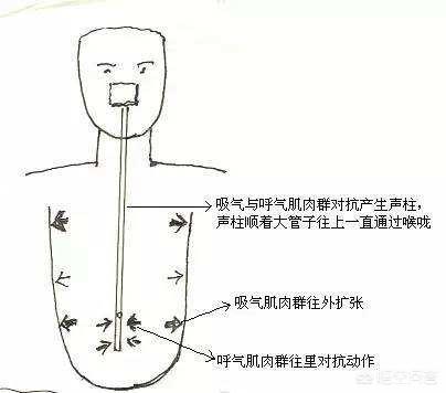 头条问答 唱歌时的高音支点放在横隔膜上行吗 吉鸿1149的回答 0赞