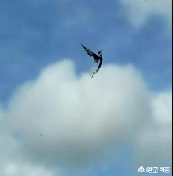 搞笑的灵异小说有哪些好的推荐？