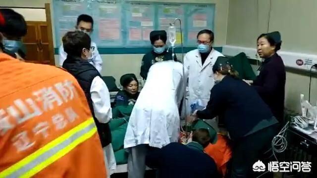 消防员救狗跳粪坑:你觉得消防员应该救猫吗？