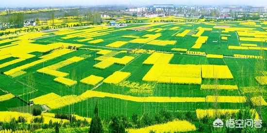 什么行业才是未来大趋势？为什么？插图44