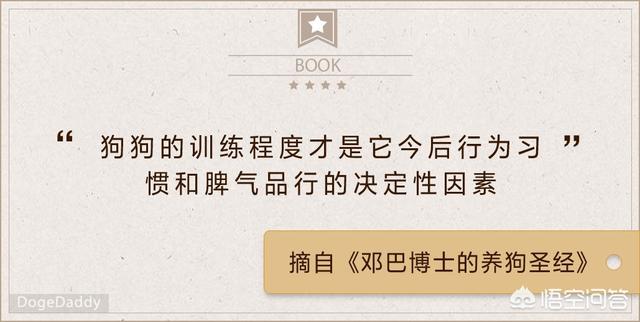 锦户亮养狗这件事:想要养狗，但是需要避开那些误区？