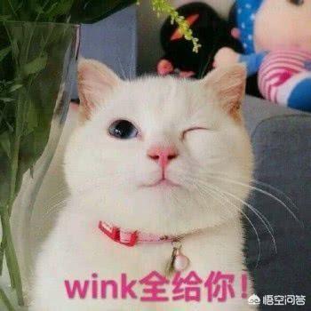 换个网名换个心情的微信名字:有些人频繁换头像、换网名是什么心理？