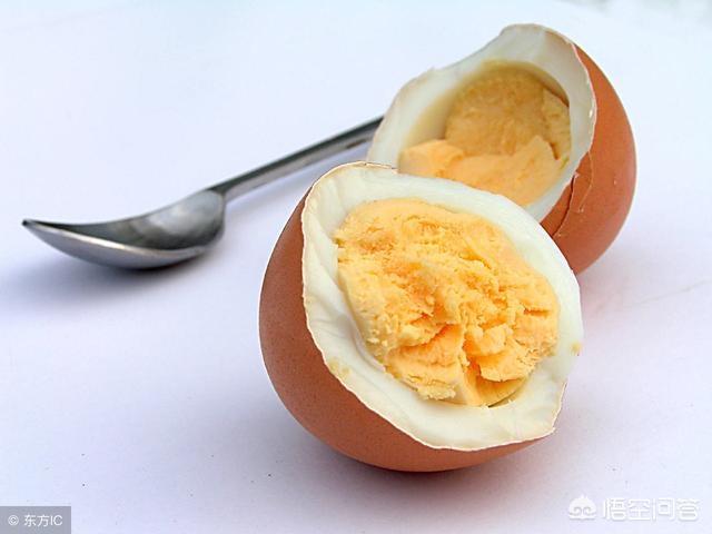 巨型贵宾犬的食量:除了狗粮之外，贵宾犬还能吃什么？