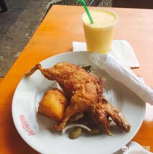 食用黑豚鼠价格:荷兰猪能吃吗？该怎么烹饪？