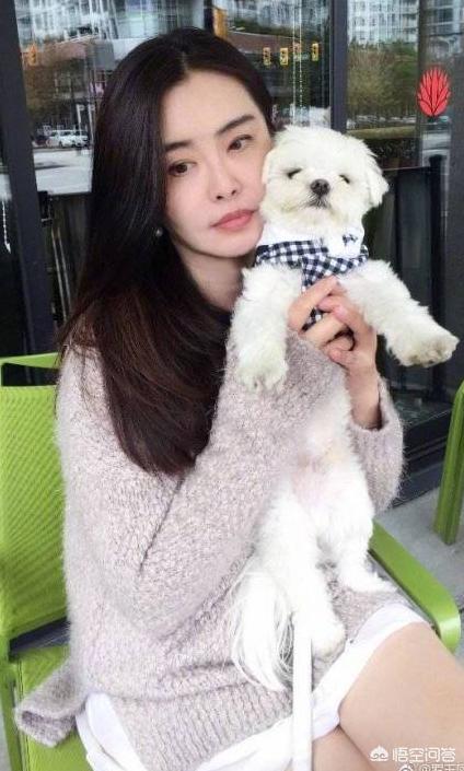 张曼玉照片:电影《青蛇》两大主演王祖贤张曼玉现状如何？