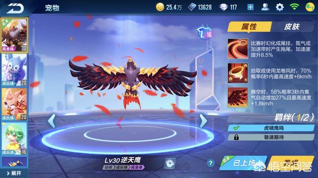 宠物鹰:熬鹰是哪个名族的宠物?他们又有着什么习俗？