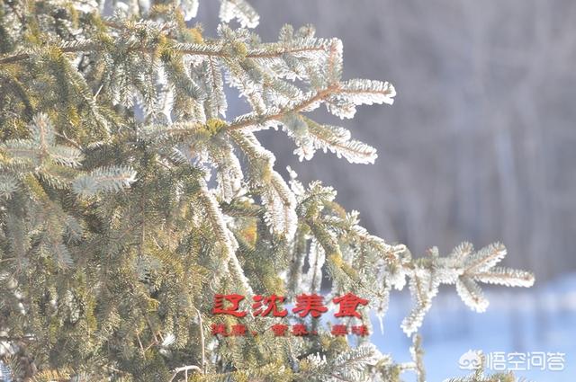 昆莱小雪人 刷小艺:东北人是怎样生活的，平时是吃些什么食物，冬天又是怎么过？