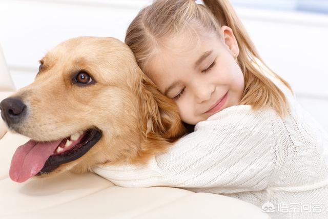 博美犬视频:如何鉴定一只狗狗有没有白养？