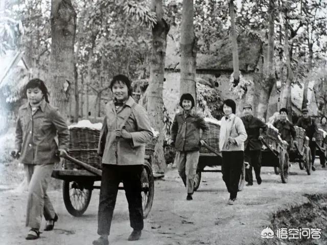 大街上那些乞讨的人是真的吗？如何看待这种人？