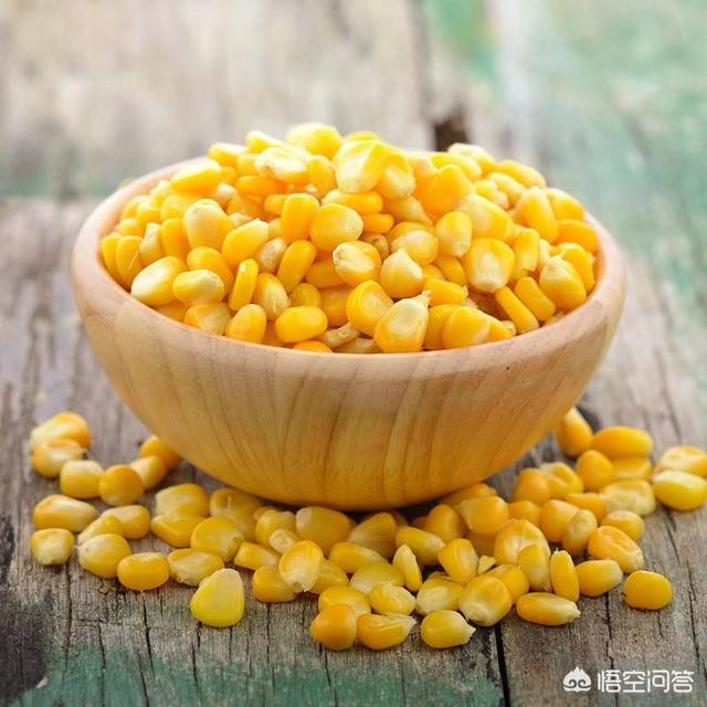 吃小龙虾吃什么啊:怎么用玉米或黄豆喂养小龙虾？需要注意什么？