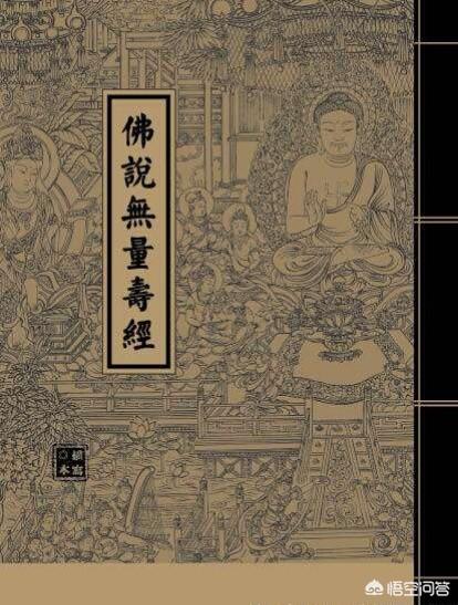 你觉得评分最高的书籍有哪些？