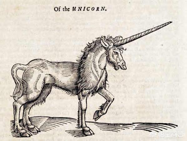 unicorn是什么意思中文，英语单词独角兽还有麒麟的意思，这个单词的起源是什么