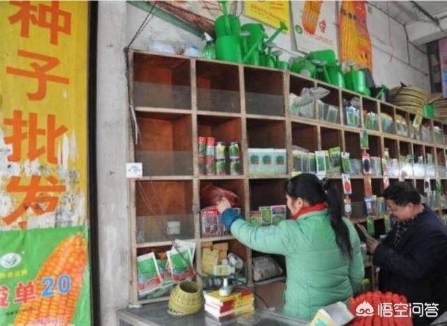 真假英特威疫苗辨认:哪家疫苗厂是正宗的，如何判断疫苗的真假？