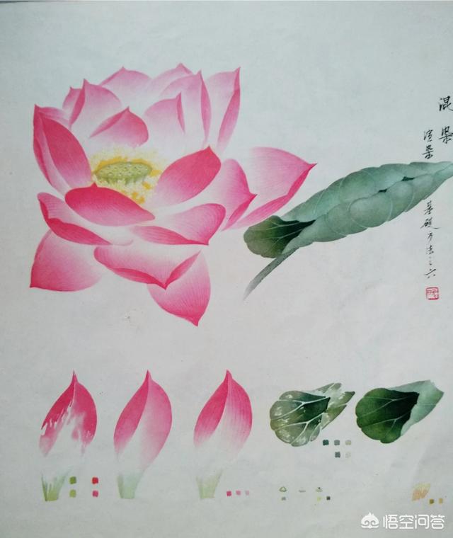工笔花鸟:工笔是什么技法？该怎么练习？ 工笔花鸟画