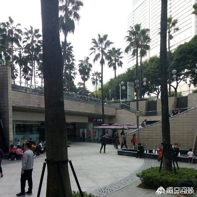 2019观鸟大年七月优秀作品集:在黑龙江，春天观鸟去哪里好？
