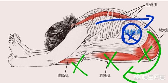 坐位体前屈训练方法图:怎么练习坐位体前屈不伤腰？