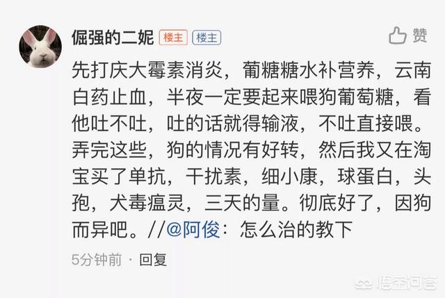 狗狗便血 拉稀 呕吐:狗狗上吐下泻一天后拉血，不吃也不喝，是怎么回事？